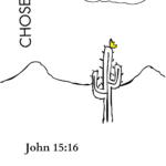 Image for John 15:16
